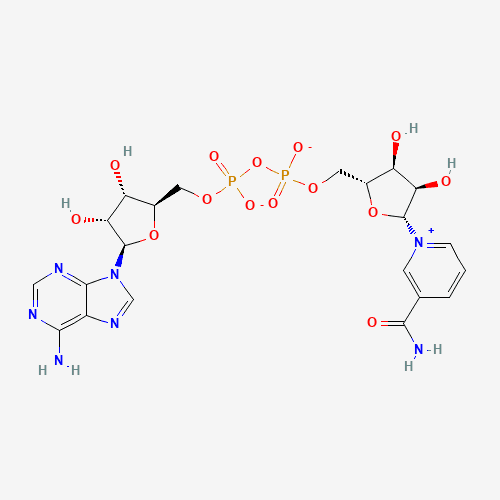 NAD+ molecular structure